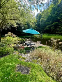 Black Bear Oasis - Image 3