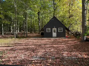 Molloy Road Cabin (Ivanhoe) - Image 4