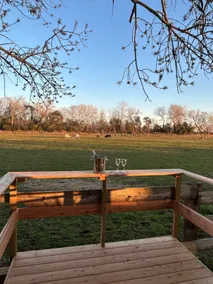 Cowboy's cabin on a ranch with animals - Image 5