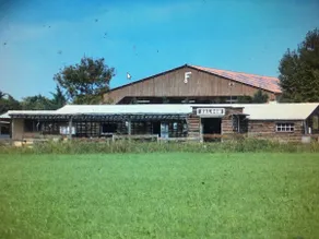 Cowboy's cabin on a ranch with animals - Image 2