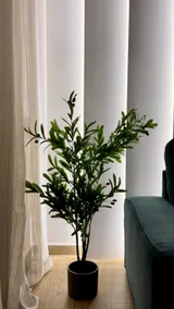 Emerald Suite - ATH Airport - Image 3