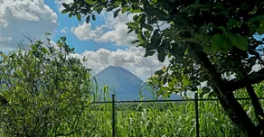 Villa Rústica Arenal: With Free Sloths Territory Pass! - Image 4