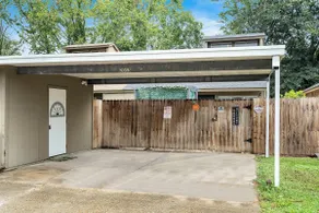 LSU Tiger Den - Image 3