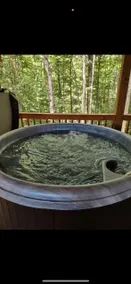 New Backwoods Cabin RRG - Image 5