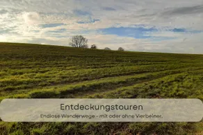 Hufe 9 Gute Stube - Digital Detox und Entschleunigen oder Aktiv-Urlaub in der Natur - Bauernhof Charme trifft modernes Design - Image 2