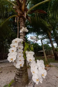 Sapphire Bungalow - Image 5