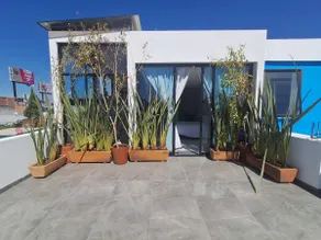 View of the pyramid, studio, and terrace - Image 5