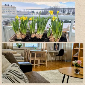 Beautiful apartment with seaview! Top 7th floor Free parking! - Image 2