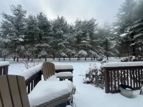 5 minutes to Kancamagus Hwy! Cozy Family Home! - Image 5