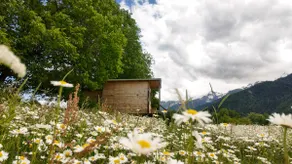 Green Lakes Cottages near Mestia - Image 2