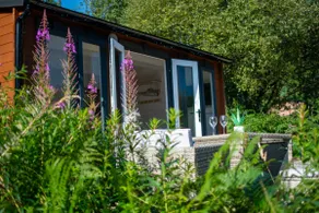 The 'Clover' Cabin & Glamping - Image 3