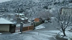 Heaven The LavishStay(Near Manali30min)PetFriendly - Image 5