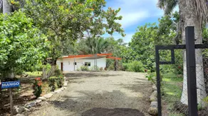 Villas Pura Vida - Mango - Image 2