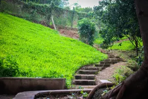 Welcome to Zumaridi house. - Image 5