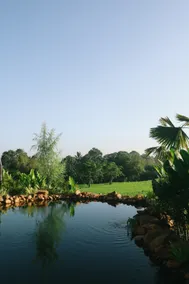 Designer villa in Kedungu - Image 3