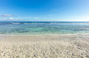 Modern Mo'orea • Private beach access & Temae beach - Image 5
