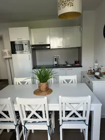 castle apartment in Baden - Image 3