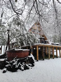 Beautiful panoramic country cabin - Image 3