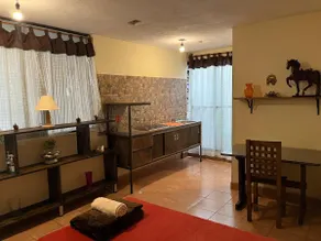 Apartment-7 near Toluca Airport - Image 4