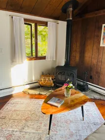 Serene rustic mountain cabin in the Berkshires! - Image 4