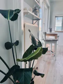 Modern Central Located Apartment - Image 3