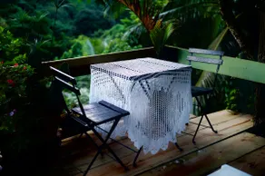 Nicey Farms Forest Bathing Sanctuary - Image 2
