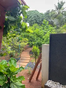 The Green Oasis - Image 5