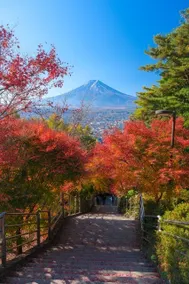 12-minute walk to Fuji-Q Highland, near Kawaguchiko/private house where you can enjoy Japanese art/BBQ available in the garden - Image 2