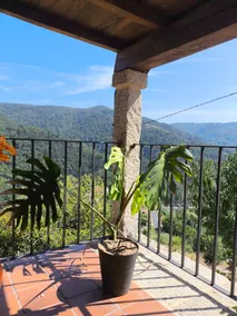 Xiravai-Ribeira Sacra - Image 5