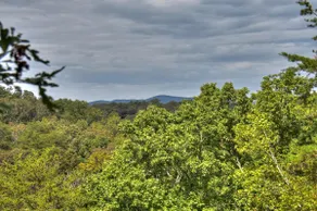 Blueberry Hill- Fire Pit, Mtn Views, Grill - Image 5