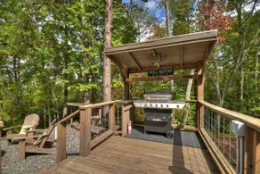 Blueberry Hill- Fire Pit, Mtn Views, Grill - Image 3