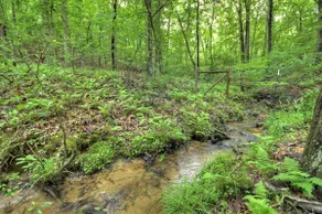 Stokes Haven | Pet Friendly | Hot Tub | Creek | - Image 2