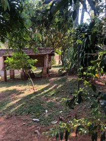 LUMA - Guest House - Image 2
