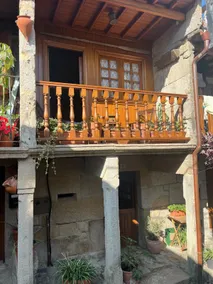 The Lemon Tree - Image 3