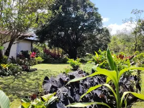 Flor del Aire Cabin - Image 2