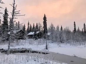 Aurora Cabin in the Wild - Riekko 4 - Image 4
