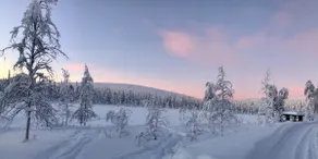 Aurora Cabin in the Wild - Riekko 4 - Image 5