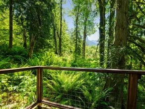 The Marmot’s Retreat - Image 4