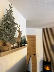 Schwarzwaldeck vacation rental (Todtnauberg) - Image 4