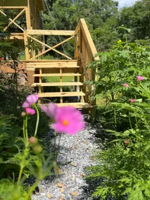 Rushing Creek Cabin - Image 3