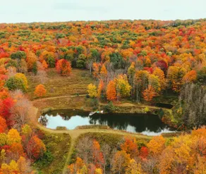 Mountain View - Private Lake•Sauna•Hot Tub•42acre - Image 2