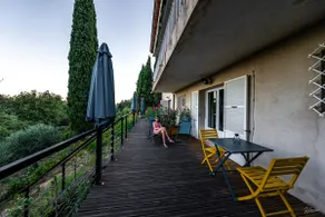 Sun and Olive Trees - Hill View, Quiet & Provence - Image 4