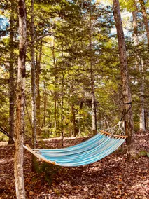 Almaguin Lake Retreat - Image 5