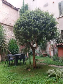 the hidden garden - Image 4