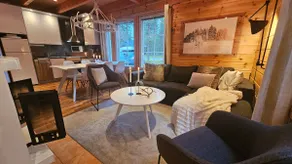 Arctic Hideaway Levi 10 people, sauna, hot tub, ski bus - Image 4