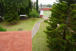 Forest house - Image 5