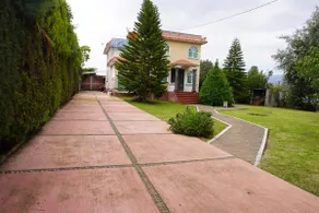 Forest house - Image 2