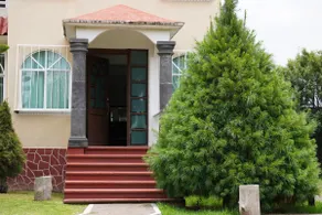 Forest house - Image 3
