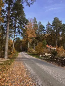 Off-grid Swedish Cabin - Image 4