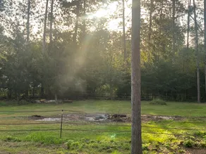 Tall Pines Log Cabin Retreat with Horse Lodge - Image 5